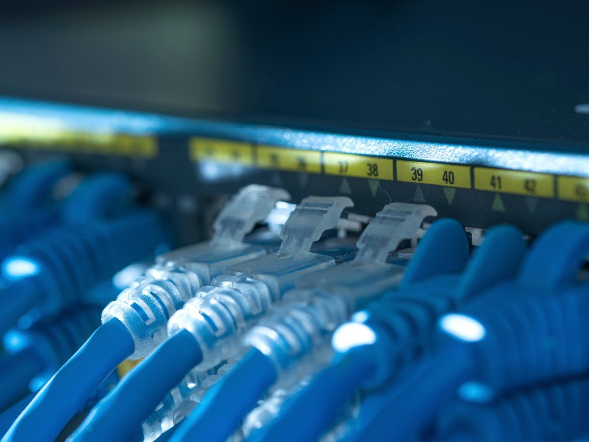 Network patch cables connected to a switch